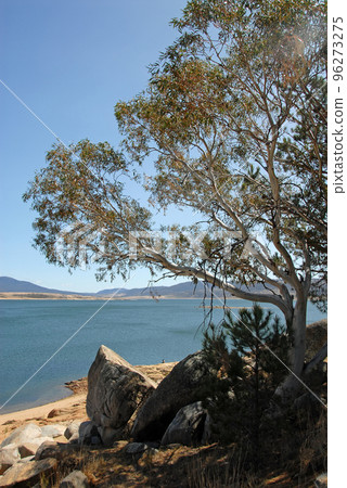 Jindabyne, New South Wales, Australia: View over Lake Jindabyne with a tree and rocks in the foreground. Jindabyne is a tourist destination near the Snowy Mountains. 96273275