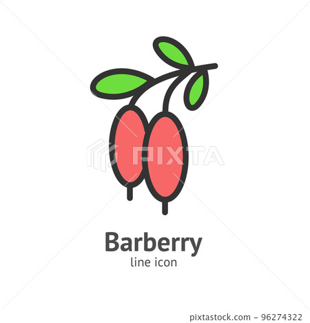 Barberry Berry Color Thin Line Icon Concept. Vector Barberry Berry Color Thin Line Icon Concept. Vector 96274322