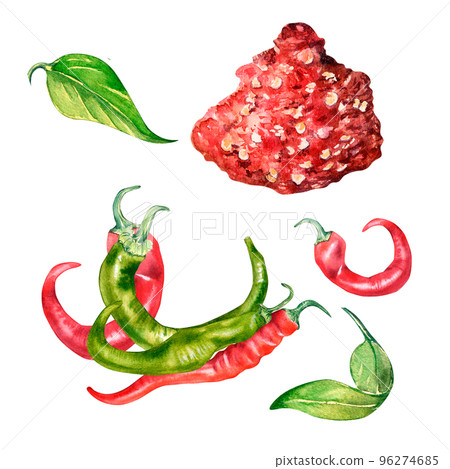 Red chili hot peppers and green leaves watercolor illustration isolated on white. 96274685