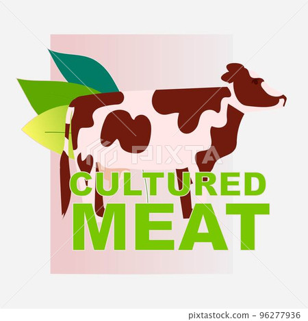 cell cultured veal meat artificial lab grown meat production concept cell cultured veal meat artificial lab grown meat production concept 96277936