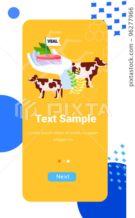 scientist hand analyzing cultured red raw meat made from animal cells artificial lab grown meat production concept 96277966