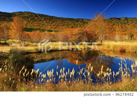Hachimantai City, Iwate Prefecture Appi Kogen in autumn colors Hachimantai City, Iwate Prefecture Appi Kogen in autumn colors 96278482