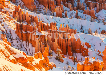 Winter Bryce 96278653