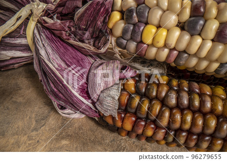 macro shot of ornamental corn 96279655