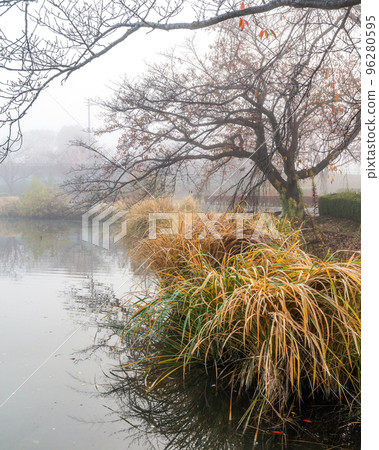 Mito City, Ibaraki Prefecture Morning at Lake Senba in heavy fog Mito City, Ibaraki Prefecture Morning at Lake Senba in heavy fog 96280595