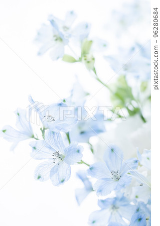 White and light blue flowers Mourning postcard - stock photo 96280684