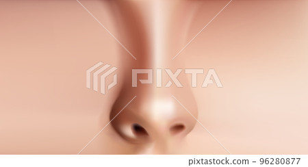 Human nose realistic front view Vector Illustration. 96280877