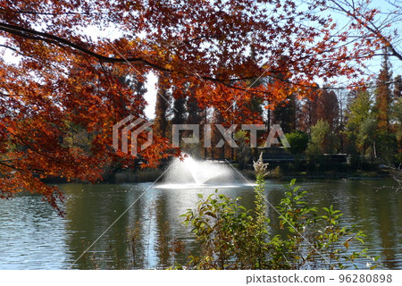 Autumn Inokashira Park Autumn Inokashira Park 96280898