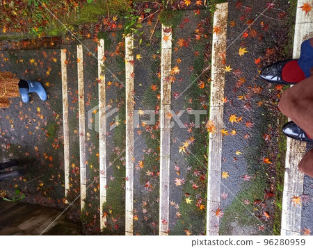 雨後秋葉落在樓梯上 雨後秋葉落在樓梯上 96280959