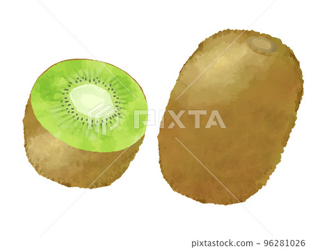 奇異果手繪水彩風格插畫 奇異果手繪水彩風格插畫 96281026