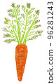 Hand-painted carrots with a gentle atmosphere 96281243