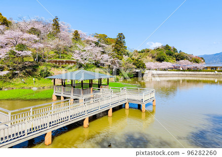 Shimizu Funakoshi Tsutsumi Park (Spring) Shimizu Funakoshi Tsutsumi Park (Spring) 96282260