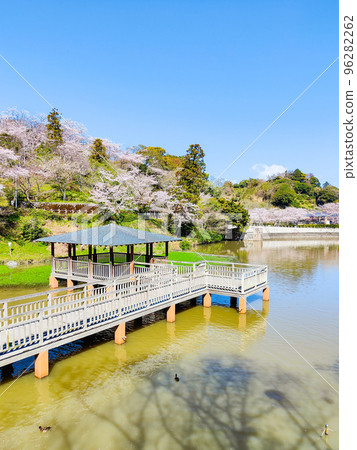 Shimizu Funakoshi Tsutsumi Park (Spring) 96282262