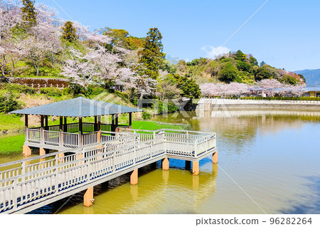 Shimizu Funakoshi Tsutsumi Park (Spring) Shimizu Funakoshi Tsutsumi Park (Spring) 96282264