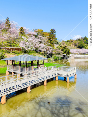 Shimizu Funakoshi Tsutsumi Park (Spring) Shimizu Funakoshi Tsutsumi Park (Spring) 96282266