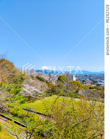 Shimizu Funakoshi Tsutsumi Park (Spring) 96282328
