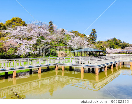 Shimizu Funakoshi Tsutsumi Park (Spring) Shimizu Funakoshi Tsutsumi Park (Spring) 96282333
