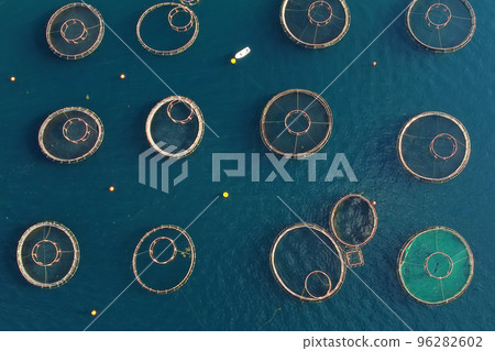 Aerial top drone view of fish farming in the clear waters of the sea. Round cages for growing a variety of fish in the Mediterranean sea 96282602