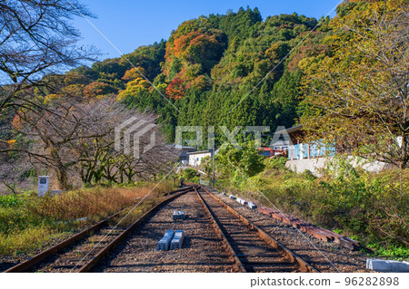 Mizunuma Station/Near Kurohone Ohashi Watarase Keikoku Railway Autumn Scenery 96282898