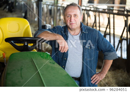 Adult farmer is sitting in the car near cows Adult farmer is sitting in the car near cows 96284051
