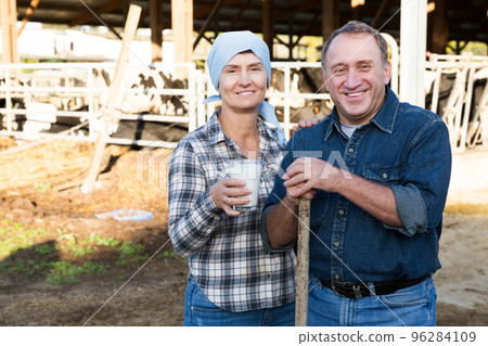 farmers standing on background of cows in stall farmers standing on background of cows in stall 96284109