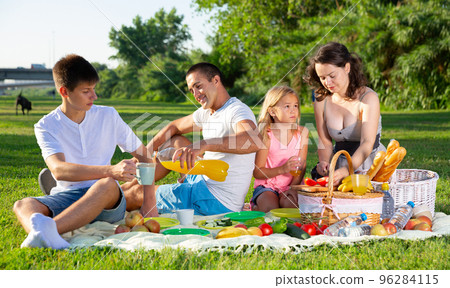 Family enjoying picnic 96284115