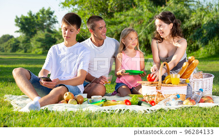 Boy playing on smartphone during family picnic Boy playing on smartphone during family picnic 96284133