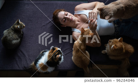 Top view of a lying caucasian woman with cats in a cat cafe. Top view of a lying caucasian woman with cats in a cat cafe. 96284846