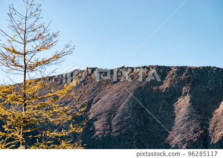 Shiga Kusatsu Kogen route southeast of Yugama Mountain folds and standing tree yellow leaves near Shirane Myojin Late October Cool colors Shiga Kusatsu Kogen route southeast of Yugama Mountain folds and standing tree yellow leaves near Shirane Myojin Late October Cool colors 96285117