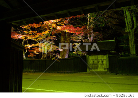 Kakunodate samurai residence lit up at night Beautiful autumn leaves of the Ishiguro family Kakunodate samurai residence lit up at night Beautiful autumn leaves of the Ishiguro family 96285165