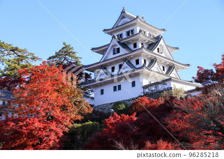 Autumn leaves of Gujo Hachiman Castle Autumn leaves of Gujo Hachiman Castle 96285218