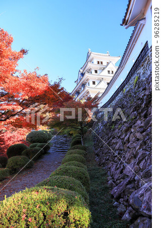 Autumn leaves of Gujo Hachiman Castle Autumn leaves of Gujo Hachiman Castle 96285219