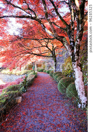 去郡上八幡城的路 去郡上八幡城的路 96285325