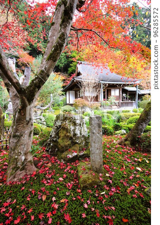 有秋葉的秋天山寺廟 96285572