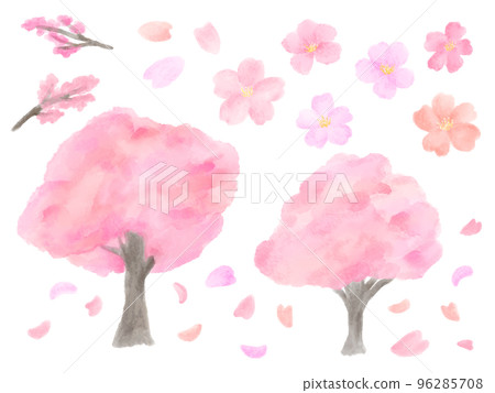 粉紅色的櫻花樹和花瓣可愛簡單的手繪水彩插圖集 96285708