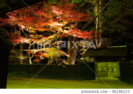 Kakunodate samurai residence lit up at night Beautiful autumn leaves of the Ishiguro family Kakunodate samurai residence lit up at night Beautiful autumn leaves of the Ishiguro family 96286223