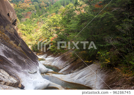 在Fujikawauchi谷的秋葉 96286745