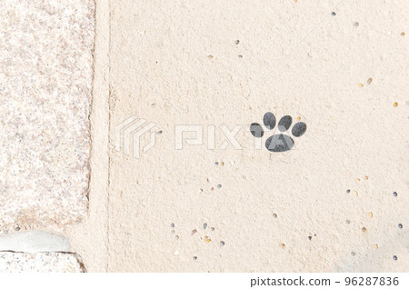 cute puppy footprints cute puppy footprints 96287836