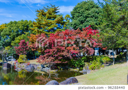 奈良公園的秋葉 紅池天池附近的秋葉 96288440