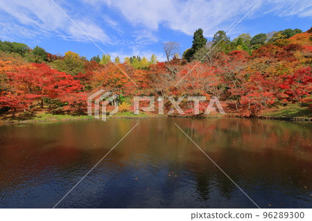 Kinshu no Yosaku Park (Bungo Ono City) 96289300