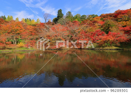 Kinshu no Yosaku Park (Bungo Ono City) 96289301