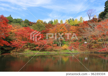 近州之與作公園(豐後大野市) 近州之與作公園(豐後大野市) 96289304