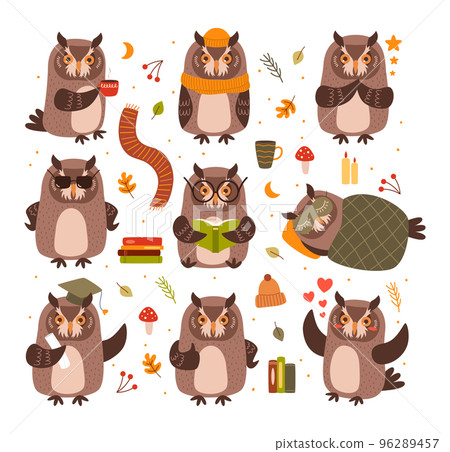 Cute owls mascots. Smart bird read book and study, owl drink coffee and sleeping under blanket cartoon vector set 96289457