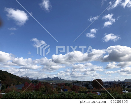 秋天的有馬富士公園 96289505