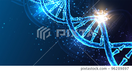 Abstract DNA helix structure banner in futuristic glowing low polygonal style on dark blue background Abstract DNA helix structure banner in futuristic glowing low polygonal style on dark blue background 96289897