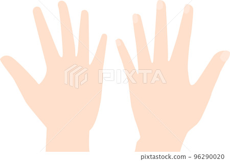Illustration of the front and back of the left hand 96290020