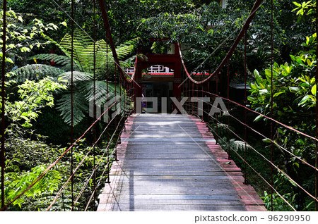 雲仙公園吊橋、吊橋、橋 96290950