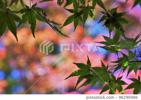 有顏色的風景 96290986