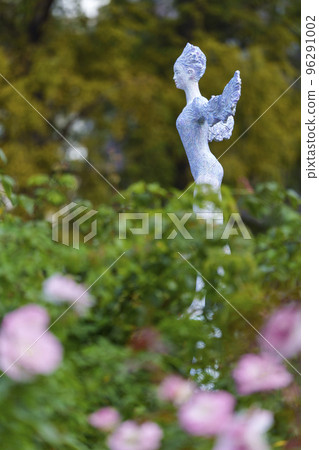 韌公園的淡粉色玫瑰花 96291002