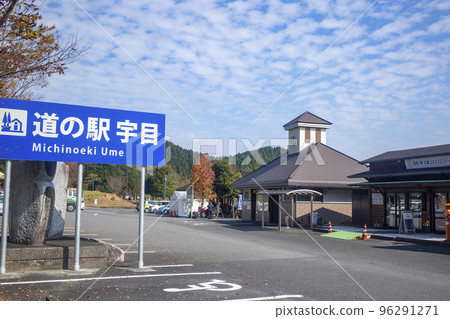 Autumn leaves of Roadside Station Ume 96291271